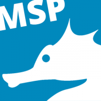 msv logo.png