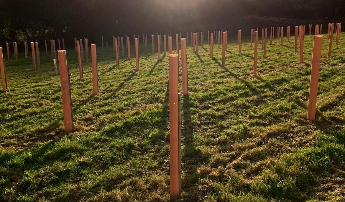 Save the Date – CMN and Grower CPD Networking Day