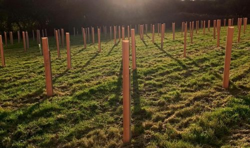 Save the Date – CMN and Grower CPD Networking Day