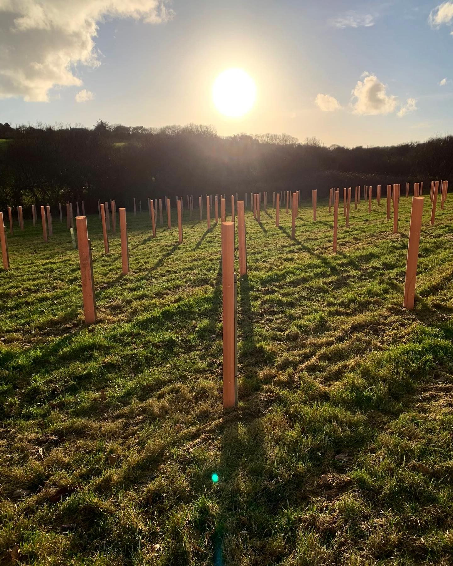 Save the Date – CMN and Grower CPD Networking Day